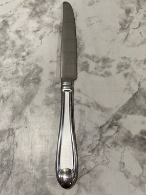 Oneida SATIN GARNET Stainless 18/10 Knife Frost & Glossy Flatware